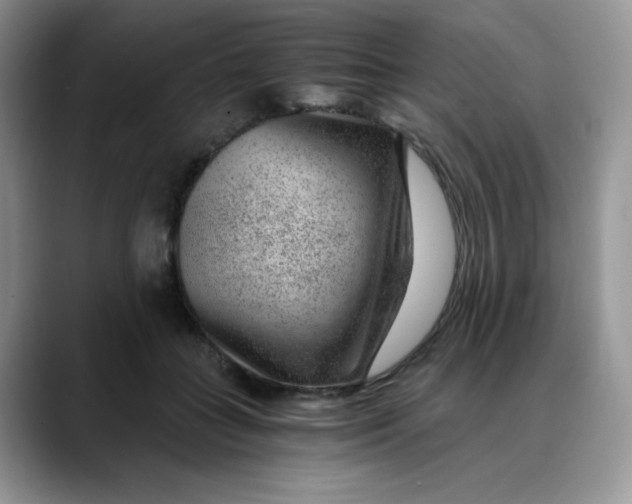 X0000088440555200706121511