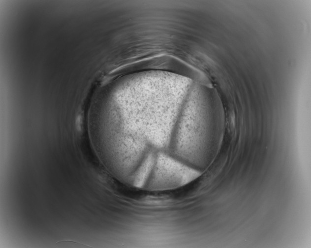 X0000088440556200706121511