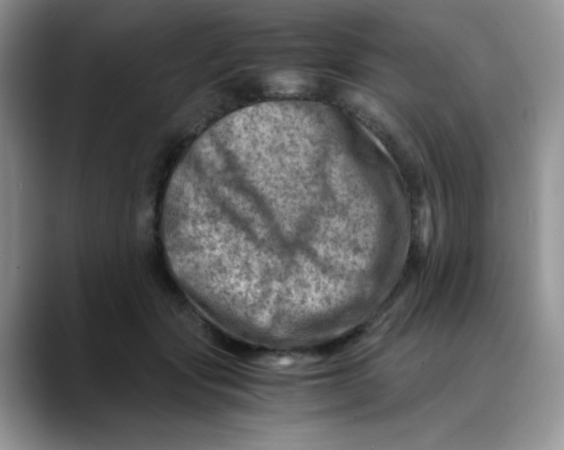 X0000088440557200706121511