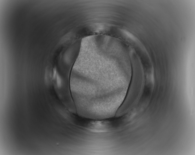 X0000088440558200706121511