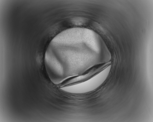 X0000088440559200706121511