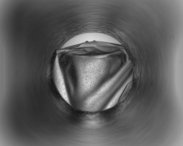 X0000088440560200706121511