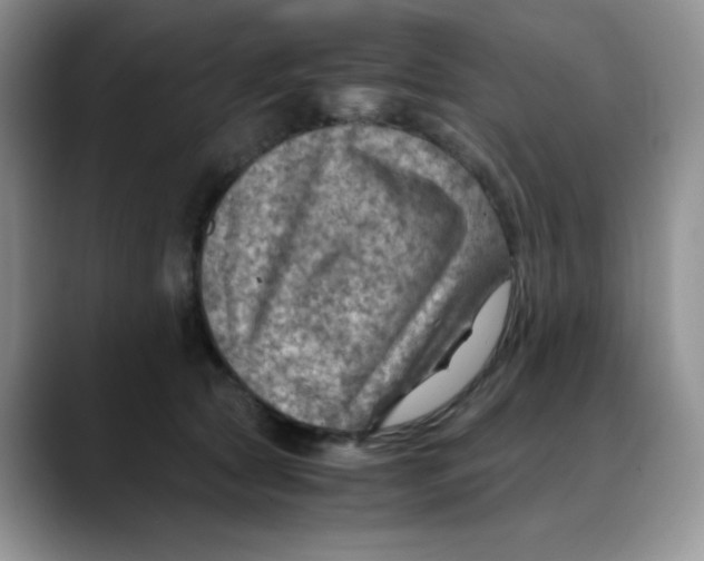 X0000088440561200706121511