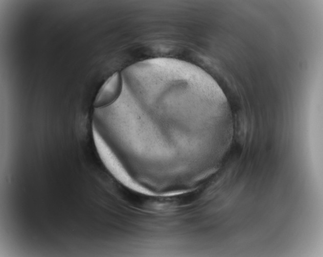 X0000088440563200706121511