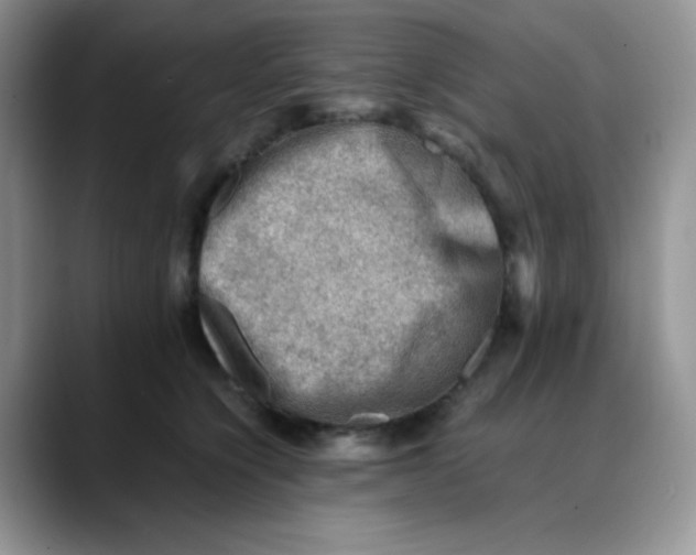 X0000088440564200706121511