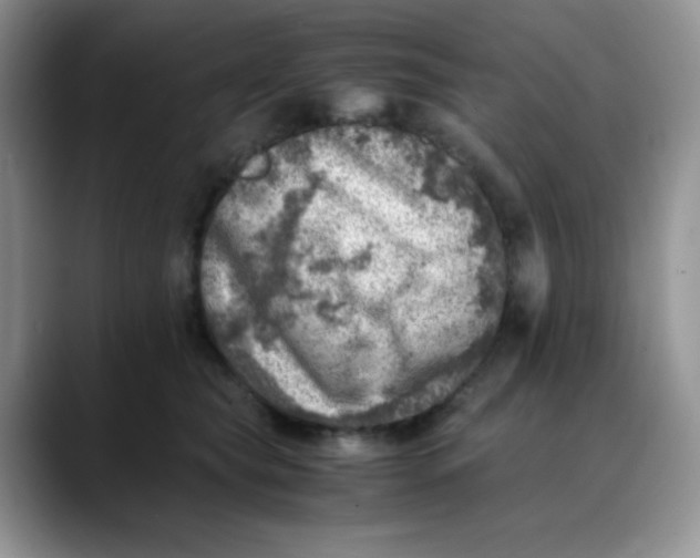 X0000088440565200706121511