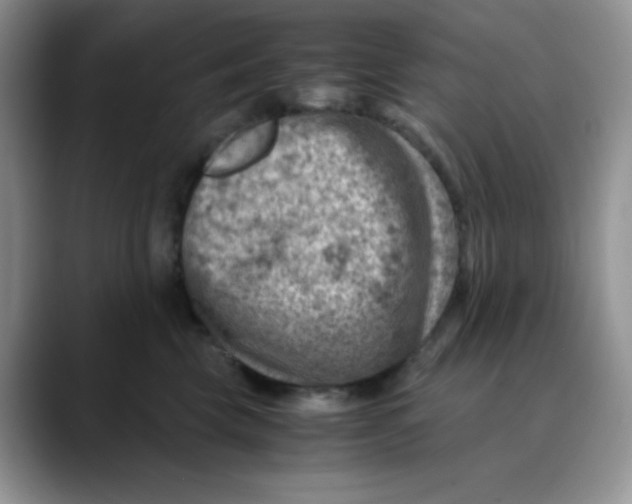 X0000088440569200706121511