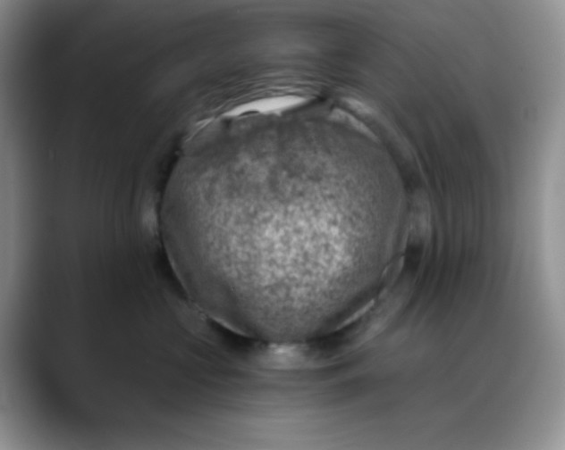 X0000088440573200706121511