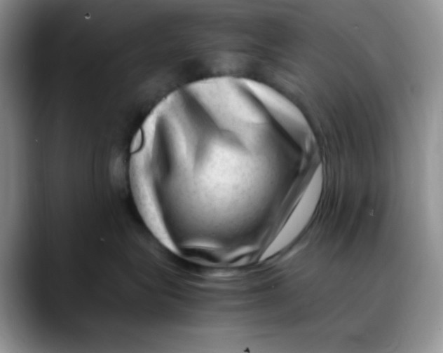 X0000088440575200706121511