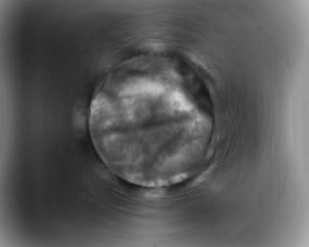 X0000088440576200706121511