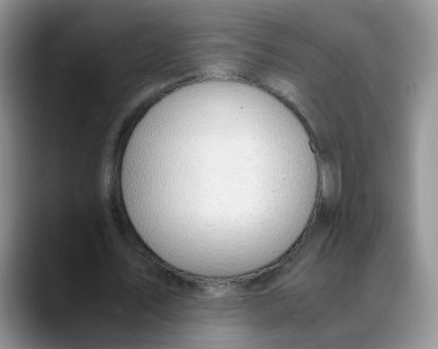 X0000088440579200706121510