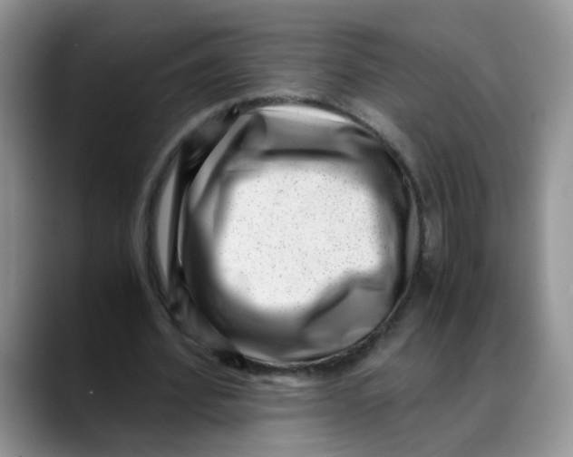 X0000088440580200706121510