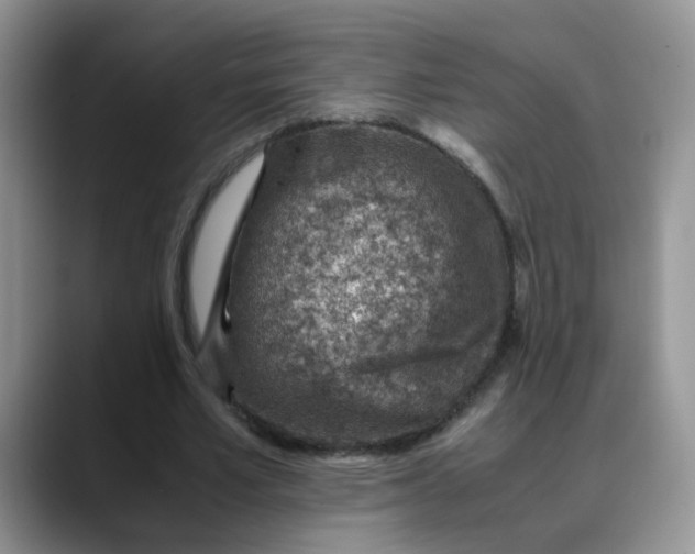 X0000088440581200706121510
