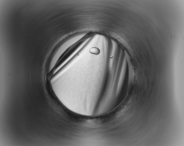 X0000088440584200706121510
