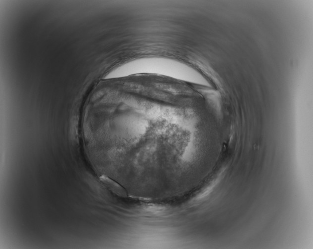 X0000088440585200706121510