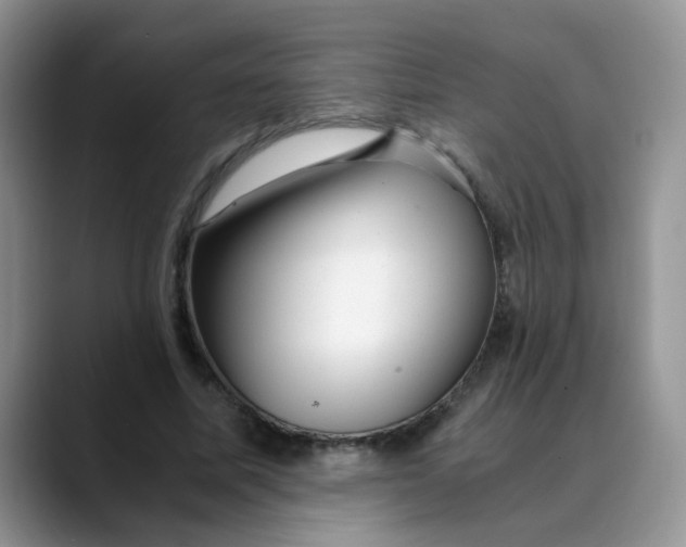 X0000088440587200706121510