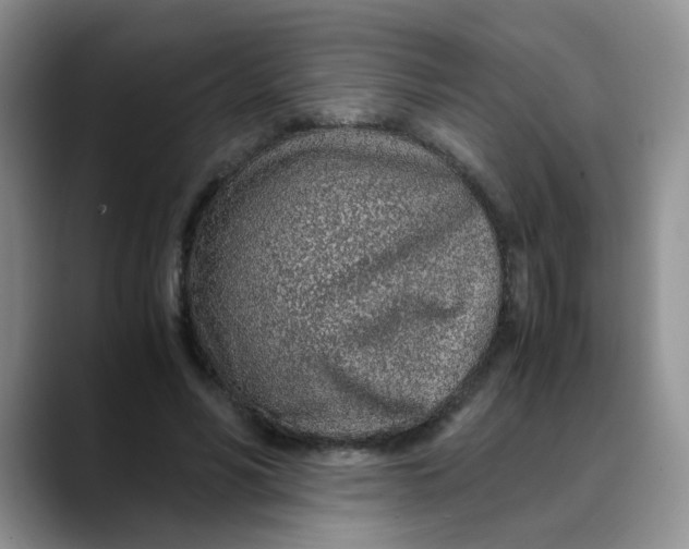 X0000088440590200706121510