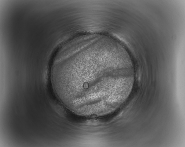 X0000088440591200706121510