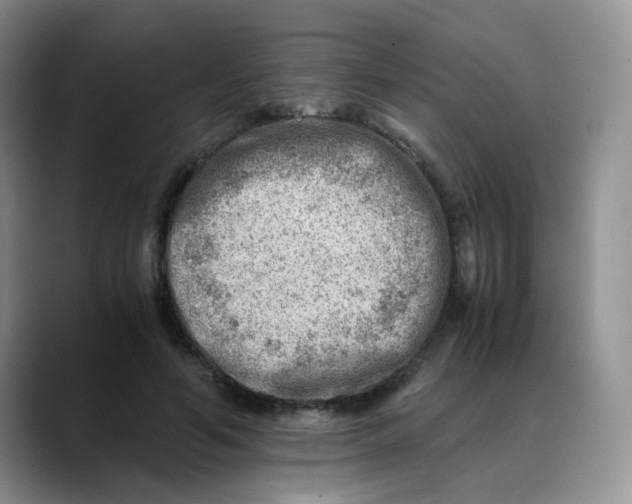 X0000088440594200706121510