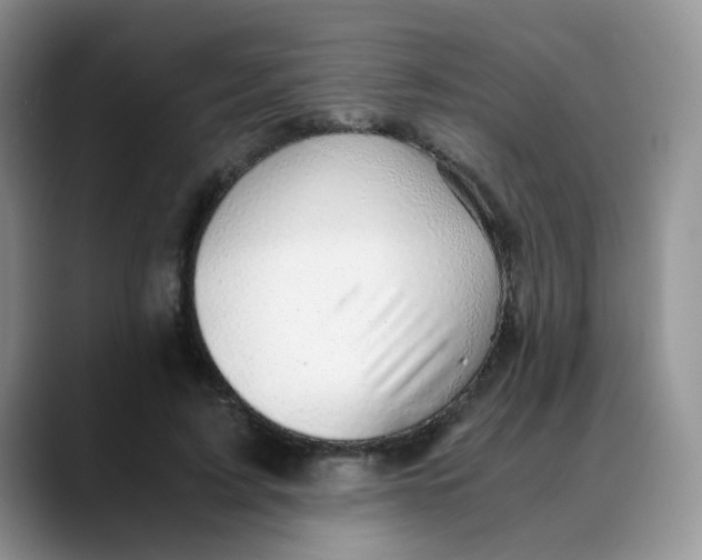 X0000088440595200706121510