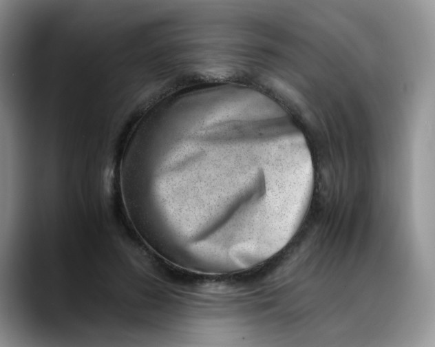 X0000088440596200706121510
