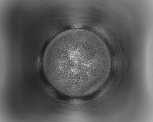 X0000088440598200706121510