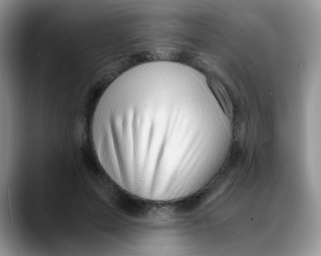 X0000088440599200706121510