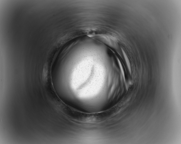 X0000088440600200706121510
