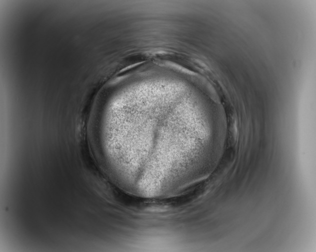 X0000088440601200706121510