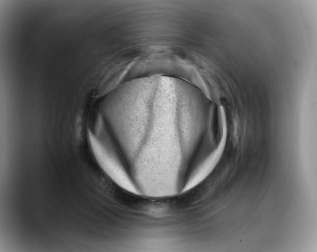 X0000088440604200706121510