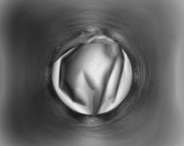 X0000088440605200706121510