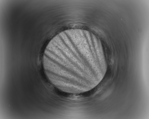 X0000088440607200706121510