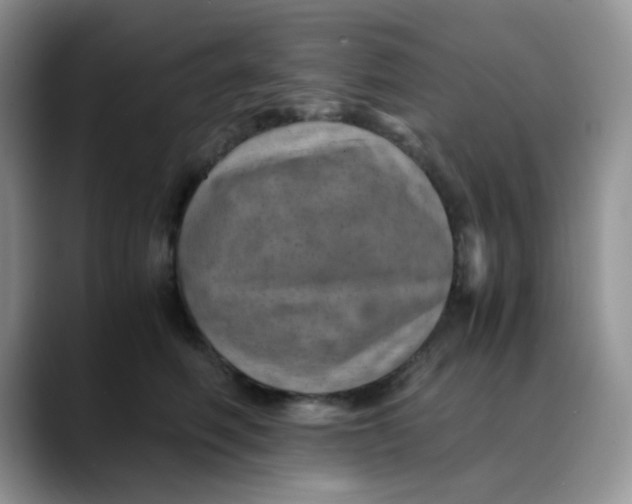X0000088440614200706121510