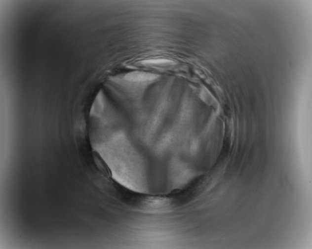 X0000088440617200706121510
