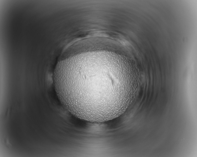 X0000088440621200706121510