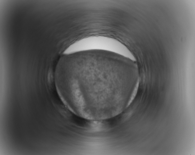 X0000088440623200706121510