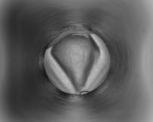 X0000088440624200706121510