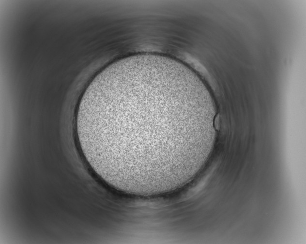 X0000088440625200706121509