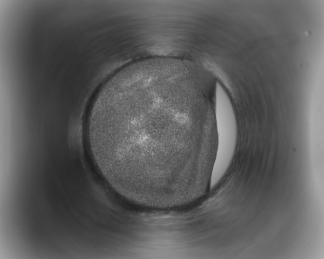 X0000088440626200706121509