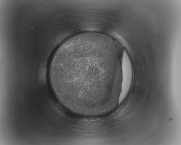 X0000088440627200706121509