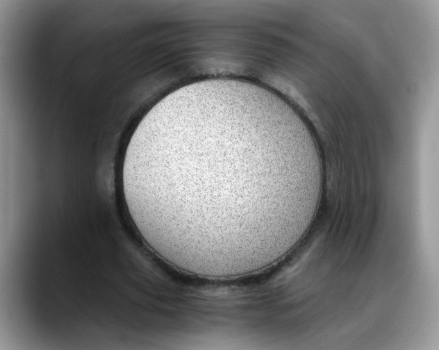 X0000088440629200706121509