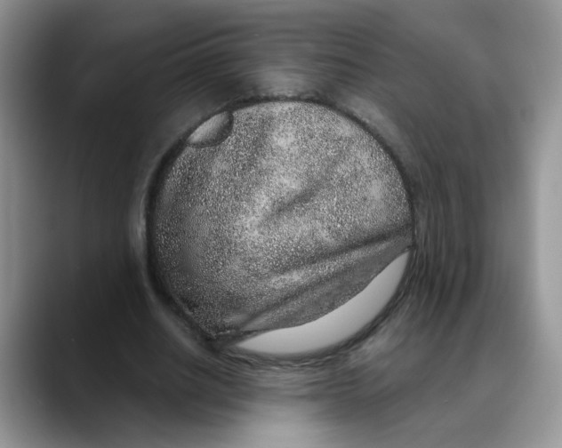 X0000088440630200706121509