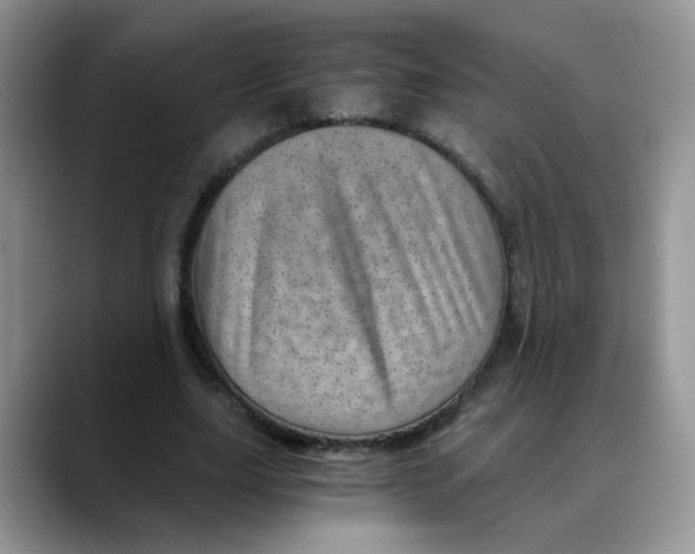 X0000088440631200706121509