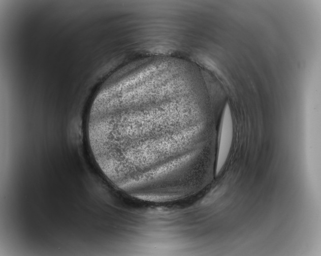 X0000088440634200706121509