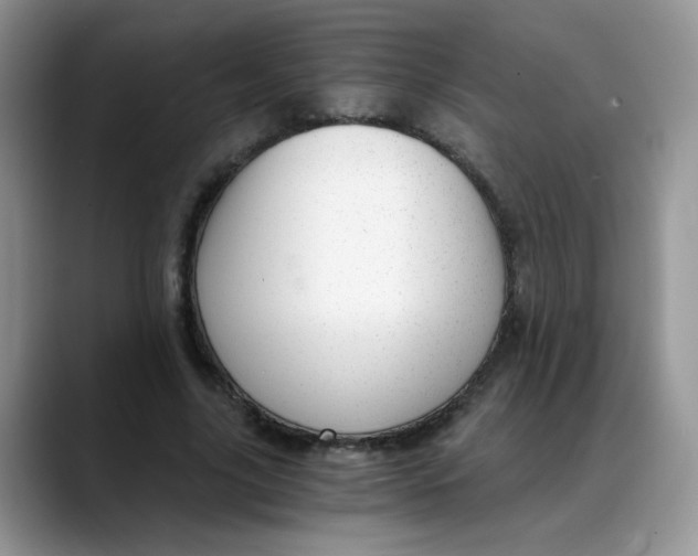 X0000088440635200706121509