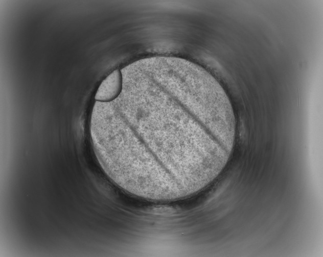 X0000088440636200706121509