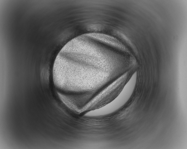X0000088440637200706121509
