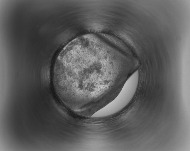 X0000088440638200706121509