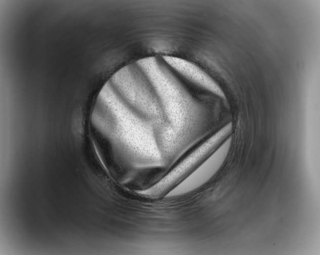 X0000088440639200706121509