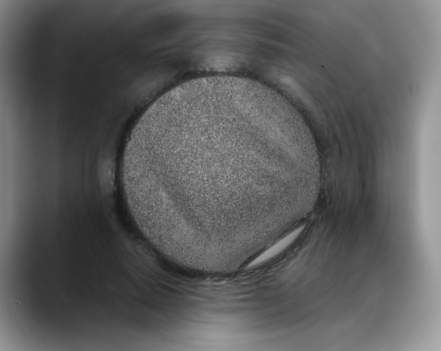 X0000088440640200706121509